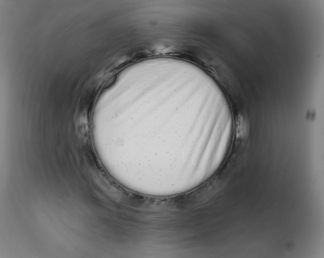 X0000112141011200909041034