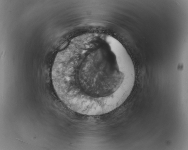 X0000112141013200909041034