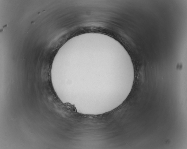 X0000112141014200909041034