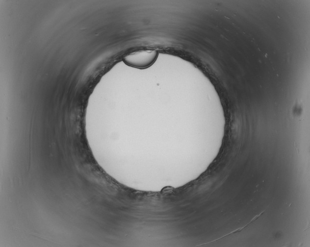 X0000112141016200909041034