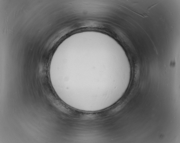 X0000112141017200909041034