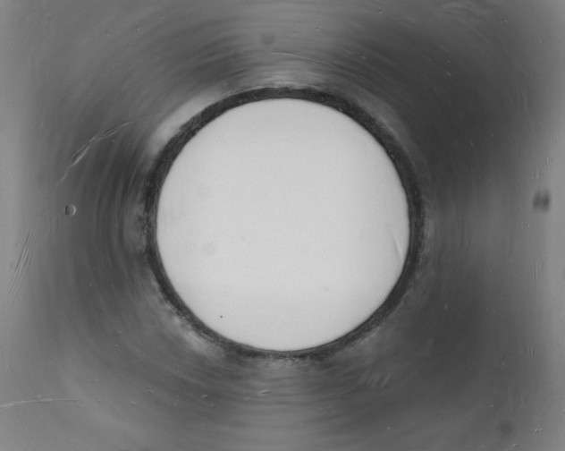 X0000112141018200909041034