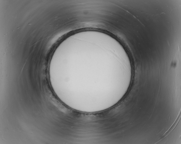 X0000112141019200909041034