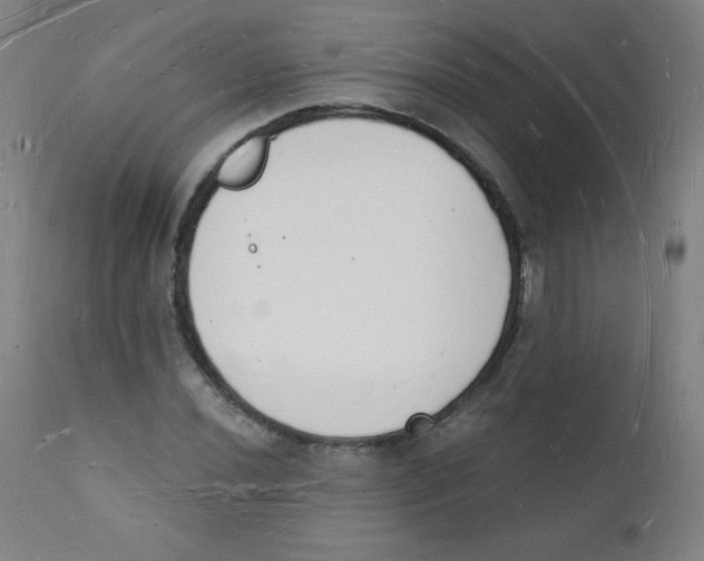 X0000112141020200909041034