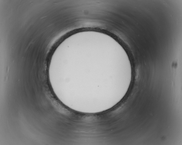 X0000112141021200909041034