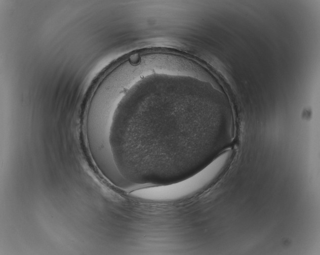 X0000112141024200909041034