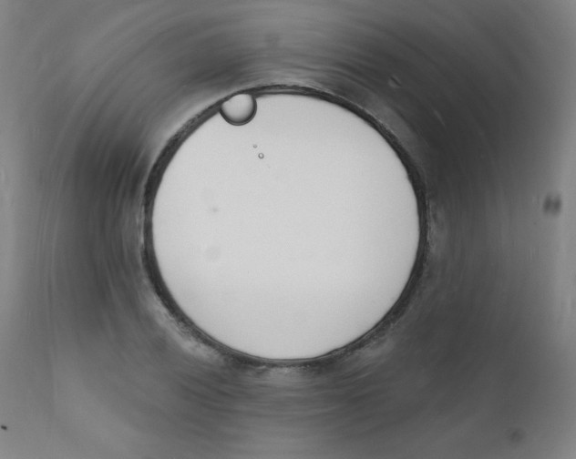 X0000112141028200909041034