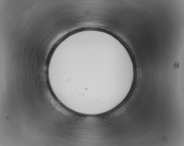 X0000112141029200909041034