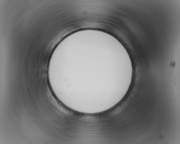 X0000112141033200909041034