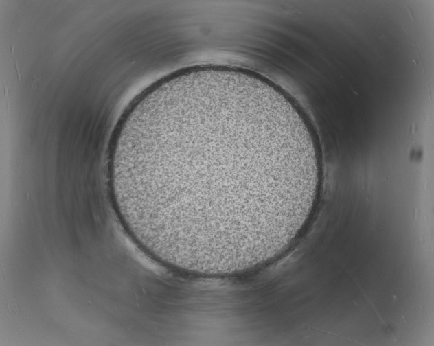 X0000112141037200909041034