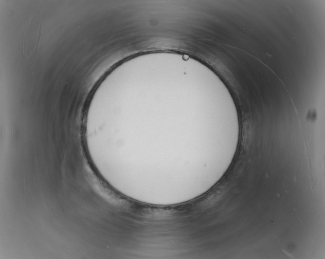 X0000112141039200909041034