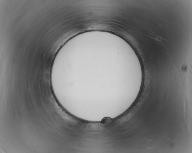 X0000112141041200909041034