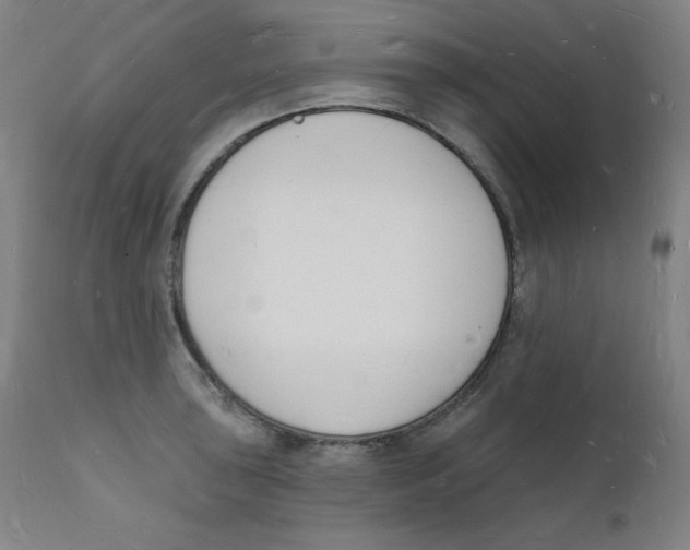 X0000112141043200909041035