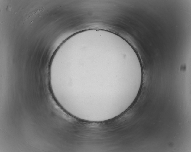 X0000112141048200909041035