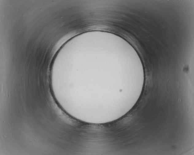 X0000112141050200909041035