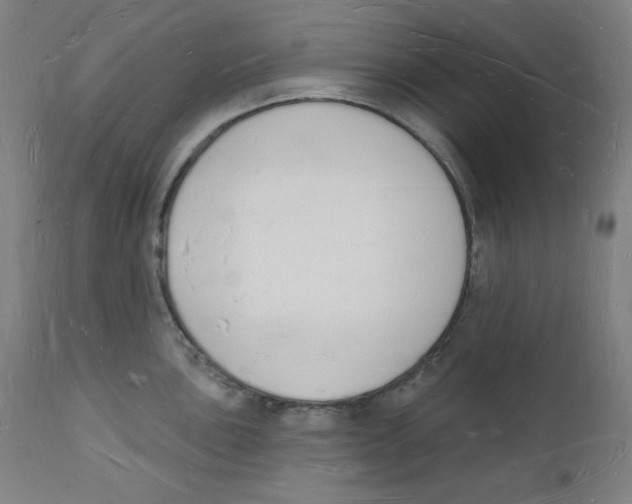 X0000112141051200909041035