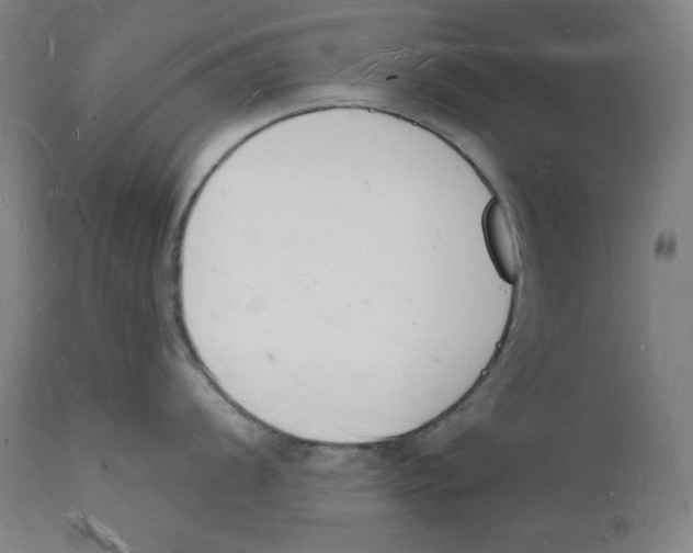 X0000112141056200909041035