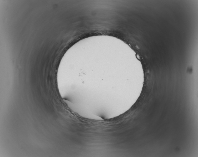 X0000112141057200909041034