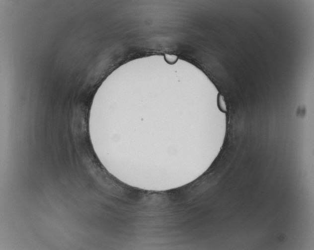 X0000112141058200909041034