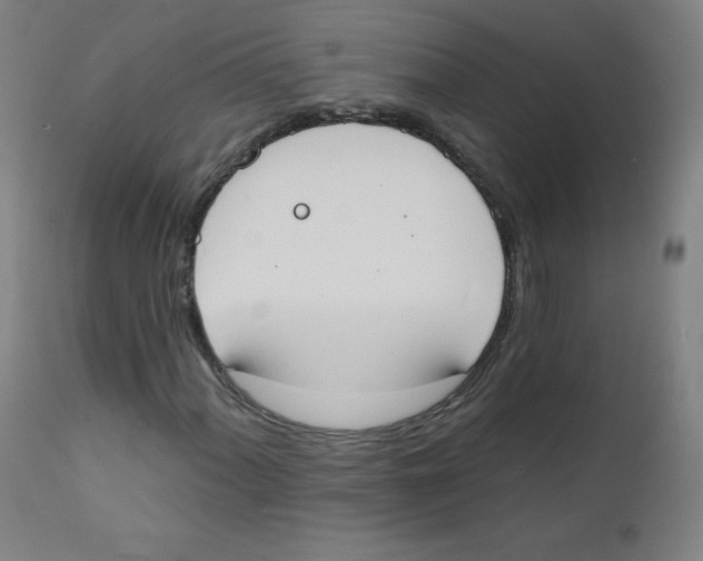 X0000112141060200909041034