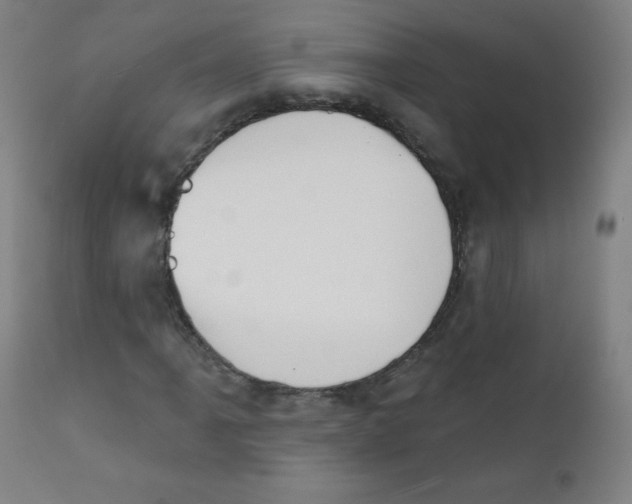 X0000112141061200909041034