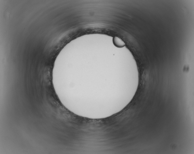 X0000112141062200909041034