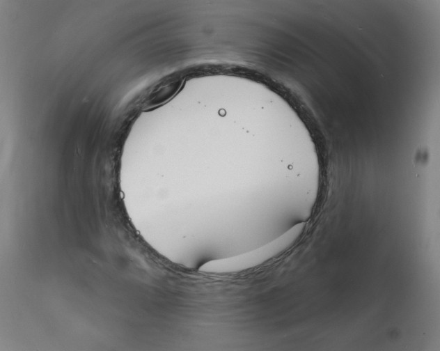 X0000112141064200909041034