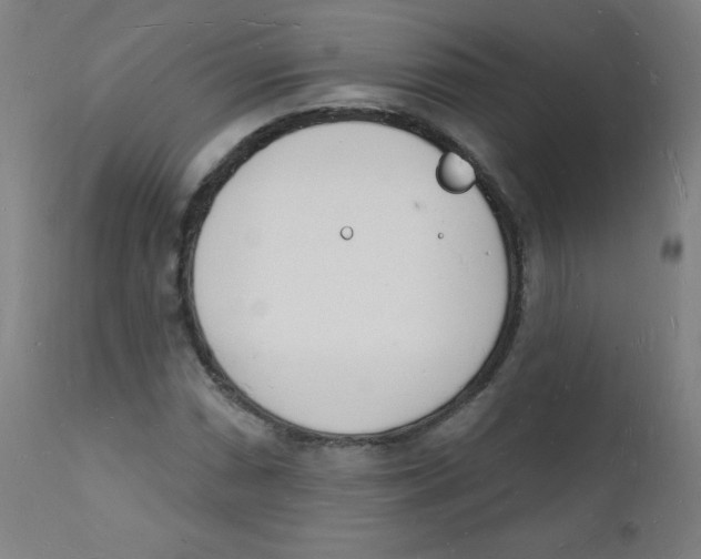 X0000112141066200909041034