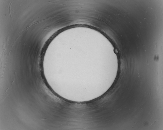 X0000112141068200909041034