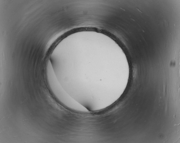 X0000112141069200909041034