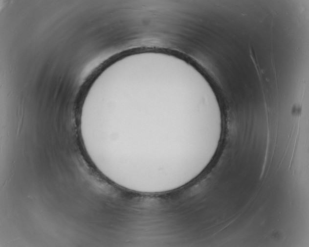 X0000112141070200909041034