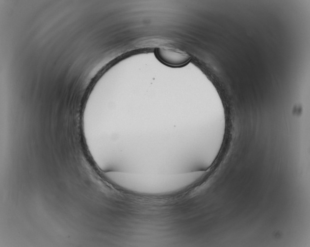 X0000112141073200909041034