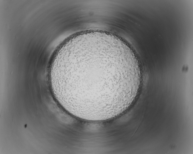 X0000112141074200909041034