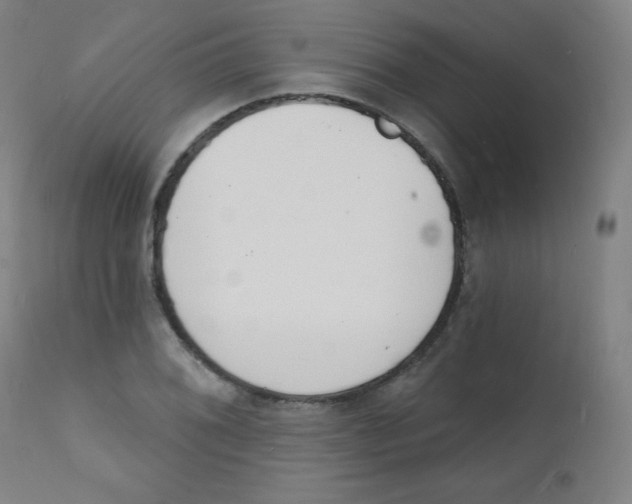 X0000112141076200909041034