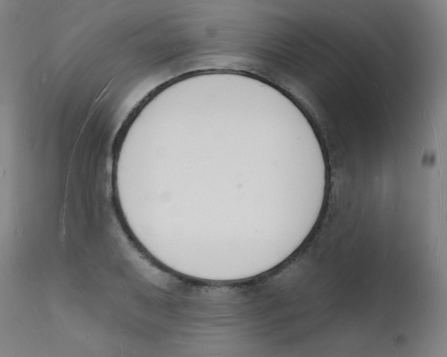 X0000112141079200909041034