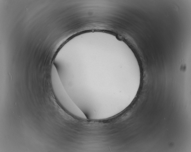 X0000112141081200909041034