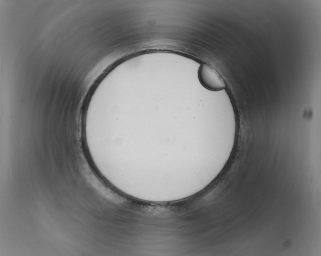 X0000112141082200909041034