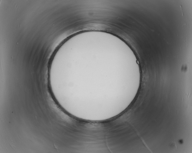 X0000112141083200909041034