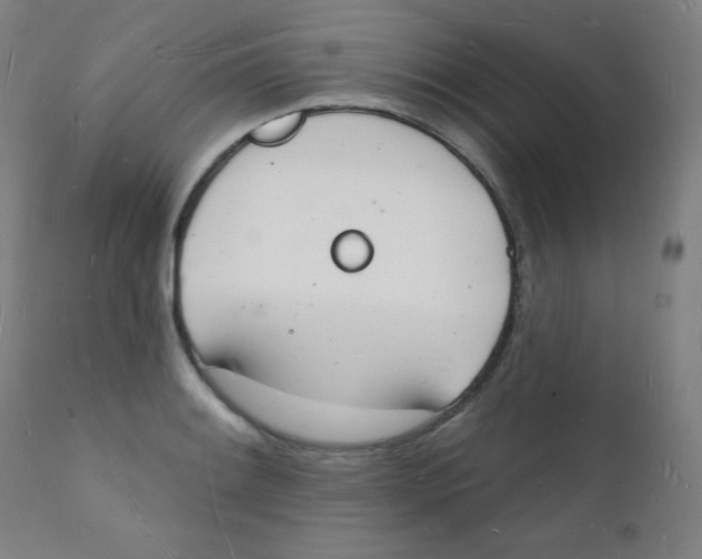 X0000112141084200909041034