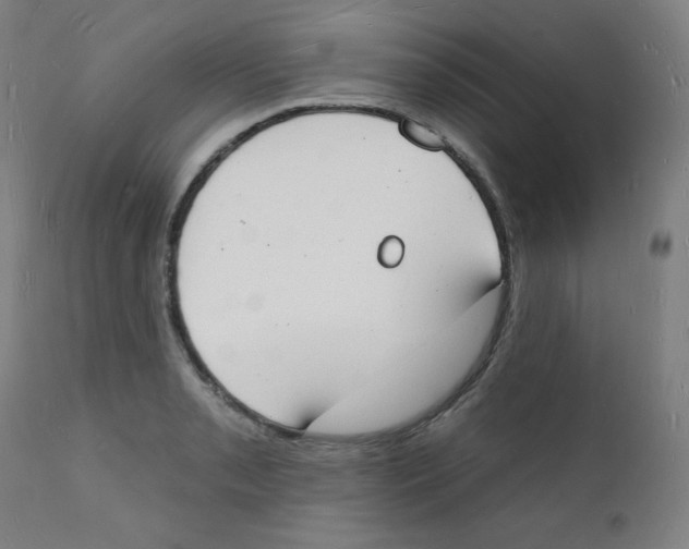 X0000112141085200909041034