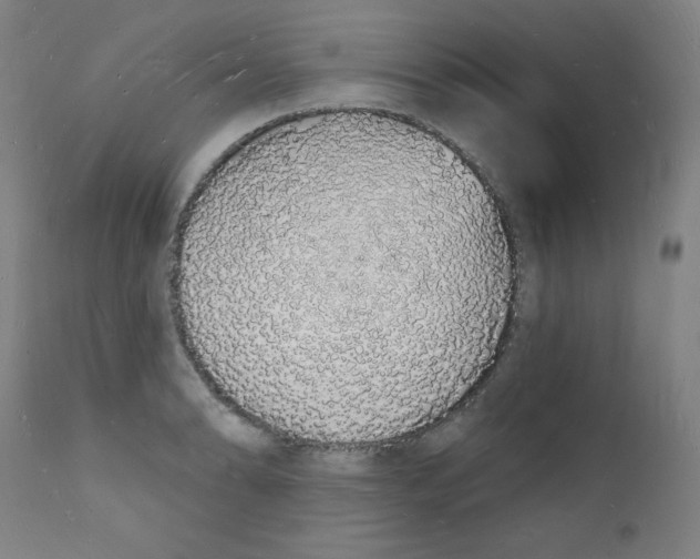 X0000112141086200909041034