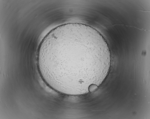 X0000112141094200909041033