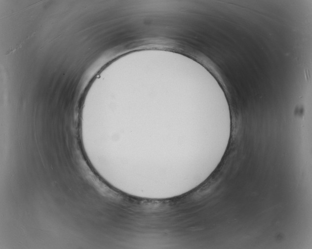 X0000112141099200909041033