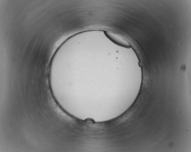 X0000112141102200909041033