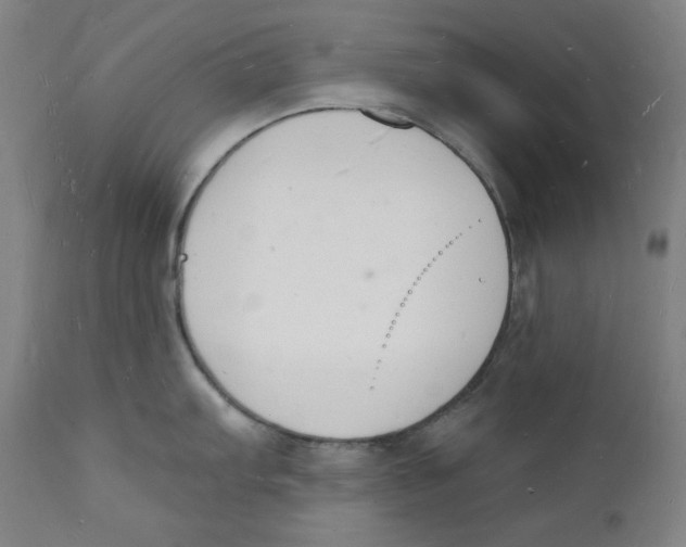 X0000112141103200909041033