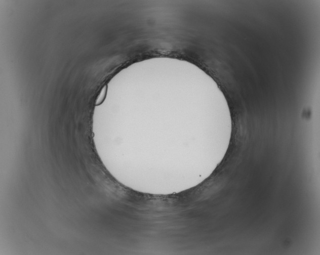 X0000112141105200909041033