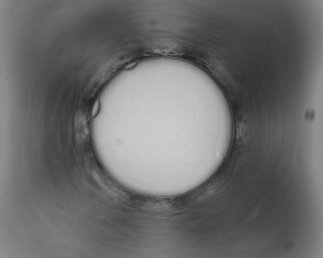 X0000112141106200909041033