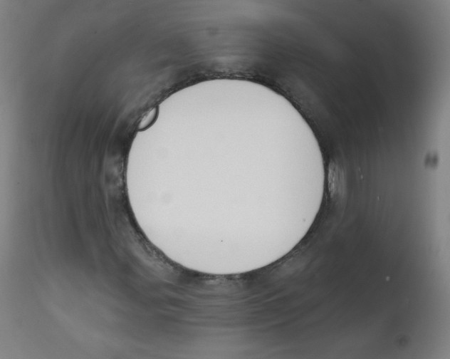 X0000112141107200909041033