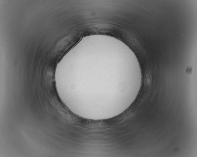 X0000112141108200909041033