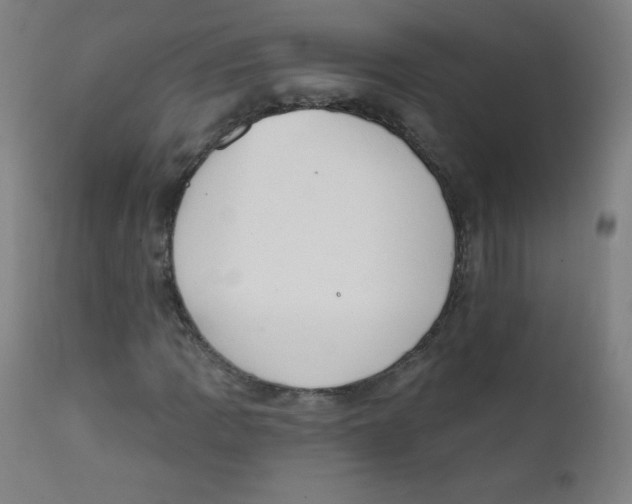 X0000112141109200909041033